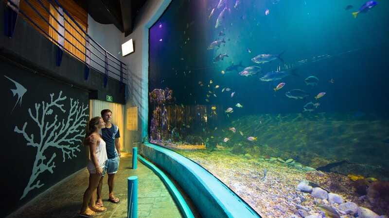 Cancún Interactive Aquarium Admission + Dolphin Presentation - Who will enjoy this aquarium most?