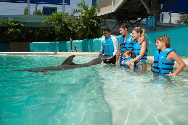 Cancun: Interactive Aquarium - Swim with Dolphins Splash - Why the dolphin presentation matters