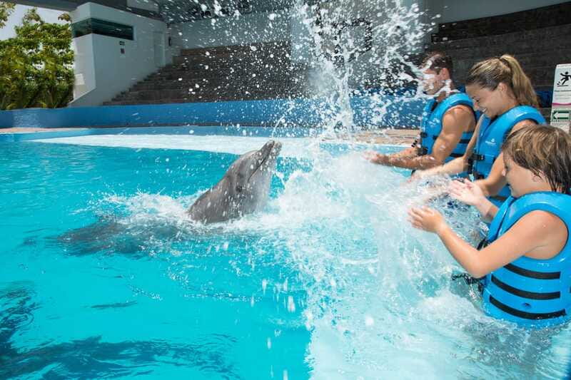 Cancun: Interactive Aquarium - Swim with Dolphins Splash - Who will enjoy this most