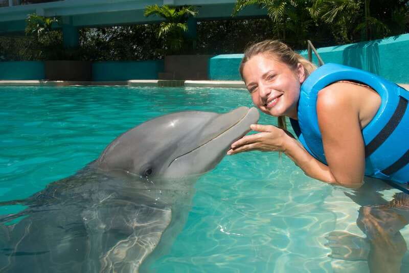 Cancun: Interactive Aquarium - Swim with Dolphins Splash - What happens before you enter the water