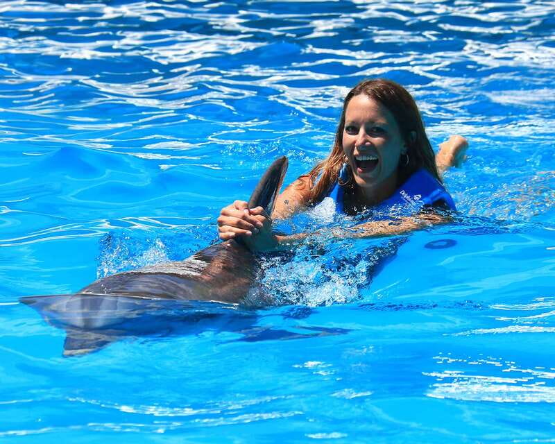 Cancun: Interactive Aquarium Ticket and Swim with Dolphins - Meeting your dolphin at Plaza La Isla