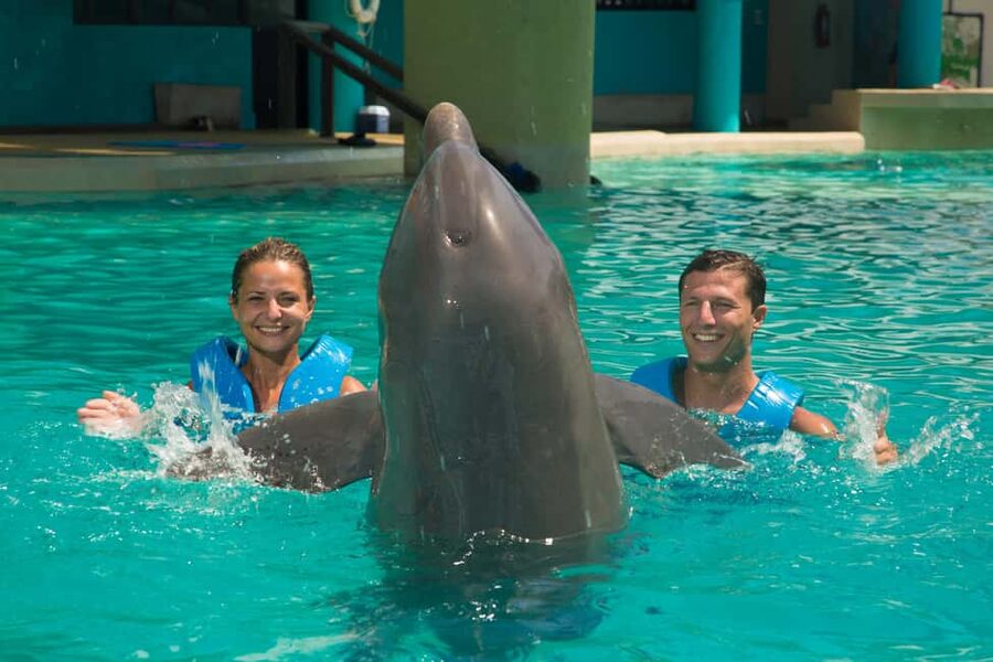 Cancun: Interactive Aquarium Ticket and Swim with Dolphins - What 30 minutes in the water feels like