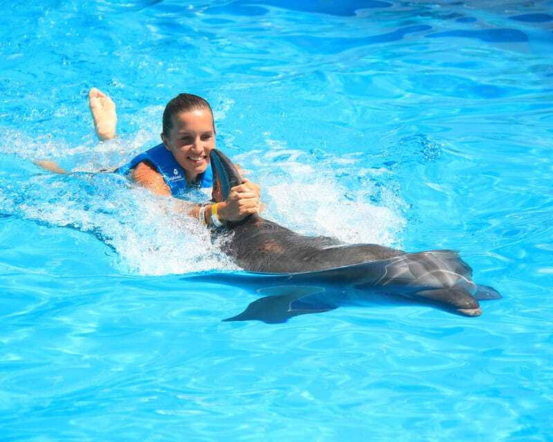 Cancun: Interactive Aquarium Ticket and Swim with Dolphins - Is $138 a fair price?