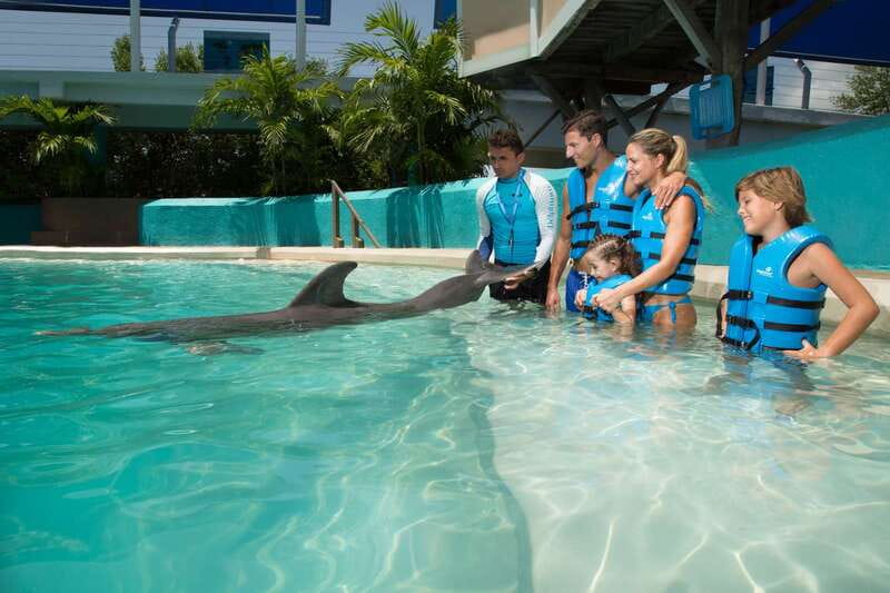 Cancun: Interactive Aquarium Ticket and Swim with Dolphins - The 14-activity water session