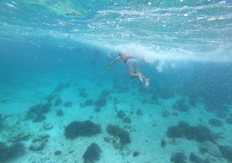 Cancun: Isla Mujeres Catamaran with buffet, drinks & snorkel - Who should book this day