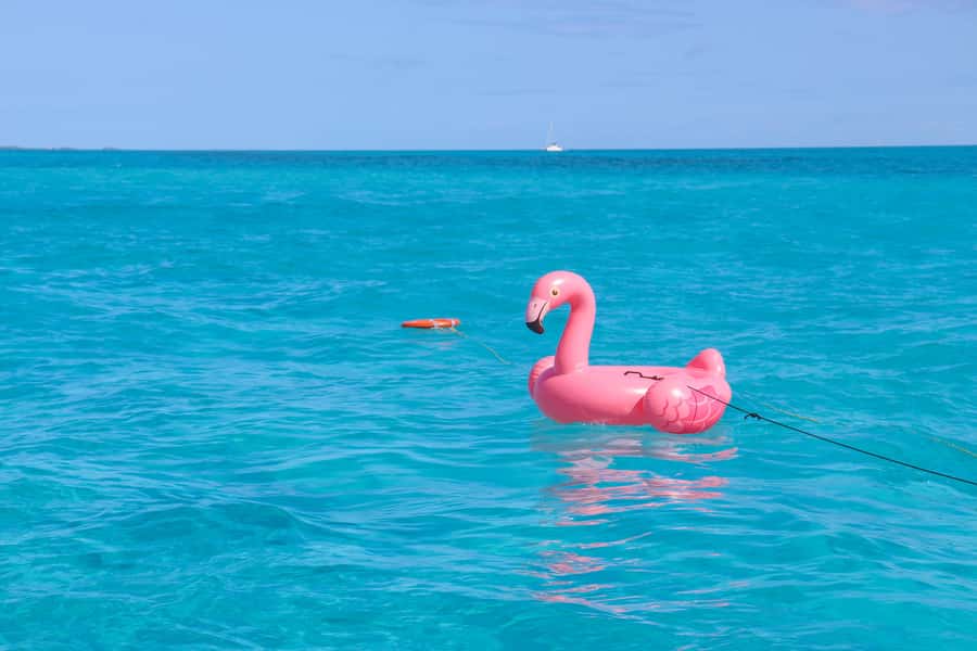 Cancun: Isla Mujeres Full Day Dancer Cruise - Should you book the Cancun Dancer Cruise?