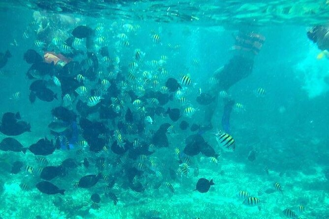 Cancun Jetski and Snorkel Adventure - Choosing one jet ski or two