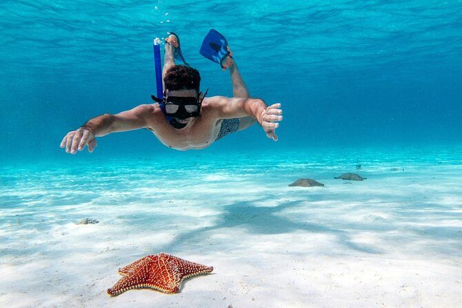 Cancun Jungle Tour with Speedboat and Snorkeling - Thirty minutes at a Cancun reef