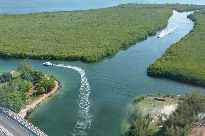 Cancun Jungle Tour with Speedboat and Snorkeling - What the $59 price really means