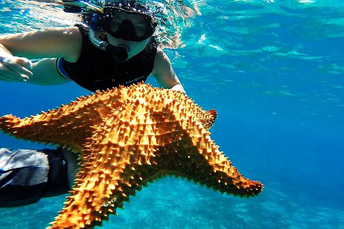 Cancun Jungle Tour with Speedboat and Snorkeling - Booking, cancellation, and simple preparation tips