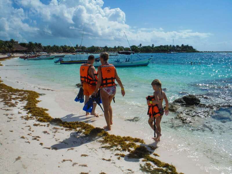 Cancun: Marine Turtle Observation in Akumal - FAQ