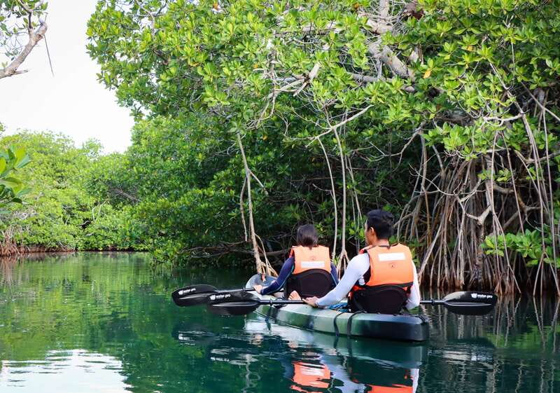 Cancun: Morning Kayak Adventure - A second route through lagoons and wildlife
