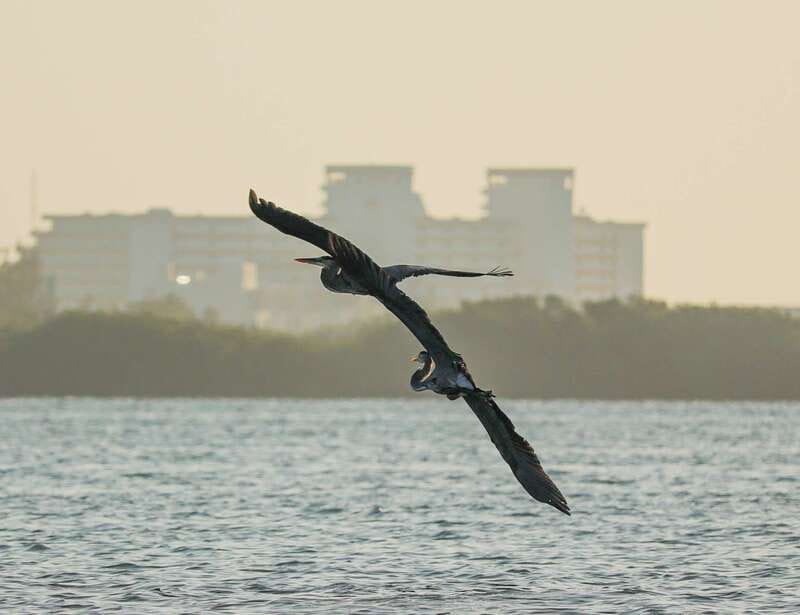 Cancun: Morning Kayak Adventure - Who should book this kayak trip