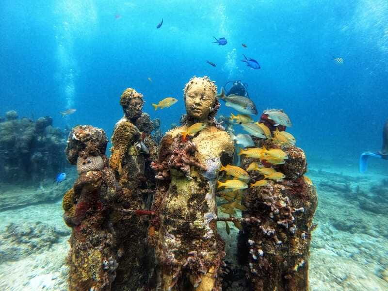 Cancun: Musa Underwater Museum & Reef Discover Scuba Diving - Marine life, conservation, and what you may see