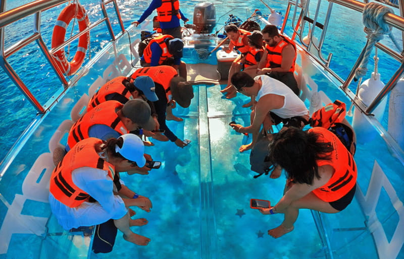 Cancún: Nichupté Lagoon Transparent Boat Tour with Drinks - The next 25 minutes, fish and the chance of turtles