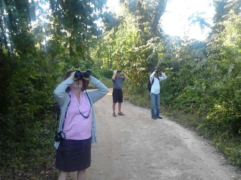 Cancun: Private Birdwatching Tour - The 9:30 snack stop and ride home