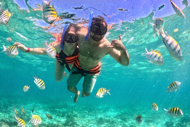 Cancun Private Catamaran Cruise– Open Bar & Snorkeling Experience - Weather, timing, and the cancellation rules