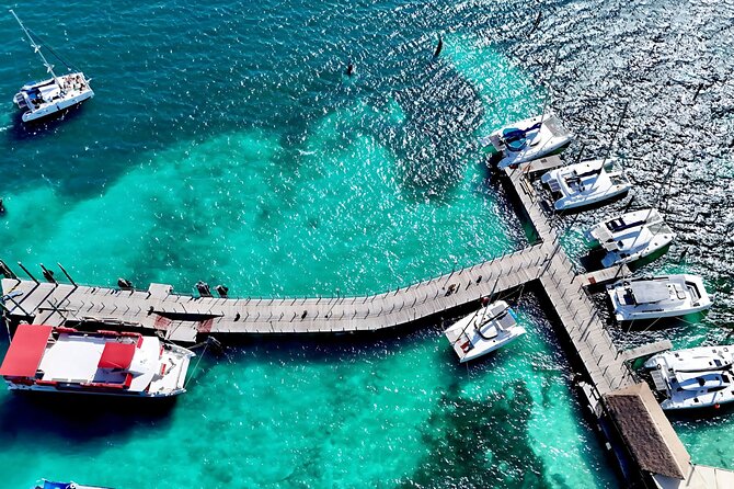 Cancun Private Catamaran Cruise– Open Bar & Snorkeling Experience - Snorkeling near the reef, with gear supplied