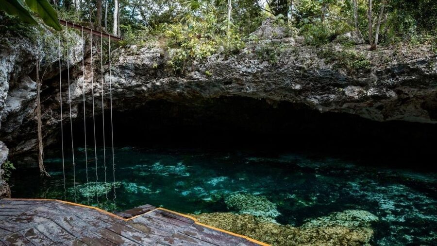 Cancun/Puerto Morelos: Tulum, Cenote & Playa del Carmen Trip - Should you book this Tulum and cenote day?