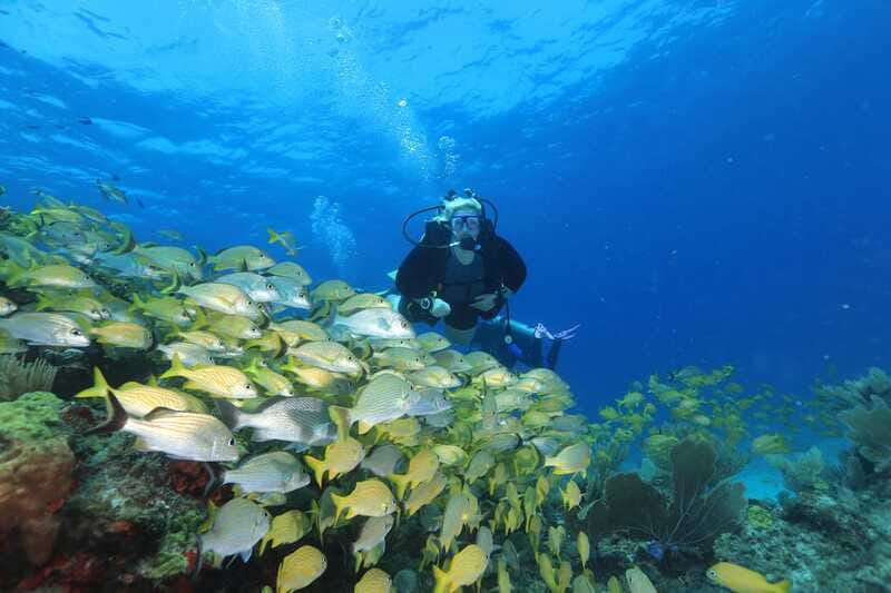 Cancun: Scuba Diving for Beginners, 2 Dives - Guides who keep nervous beginners calm