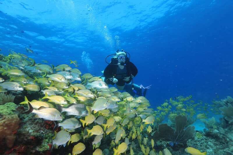 Cancun: Scuba Diving for Beginners, 2 Dives - 8:00 AM check-in at Sotavento Hotel