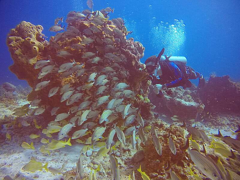 Cancun: Scuba Diving for Certified Divers, 3 options to dive - C-58 or C-55, Cancun’s deeper wreck choice
