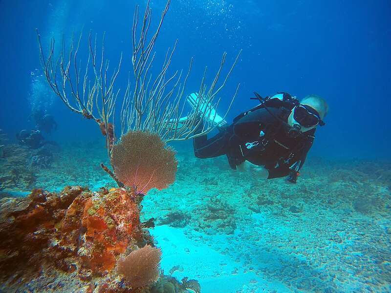 Cancun: Scuba Diving for Certified Divers, 3 options to dive - Timing your flight and Cancun plans
