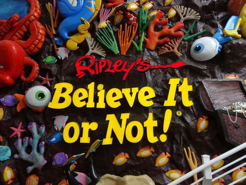 Cancún: Sky Wheel Pass GO - Ripley’s Museum: odd facts with hands-on elements