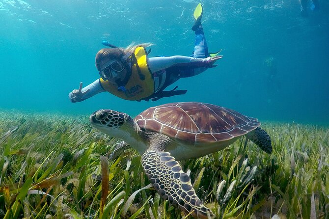 Cancun Snorkeling Adventure: Underwater Museum, Reef & Shipwreck - What the $79 Cancun snorkeling tour actually delivers
