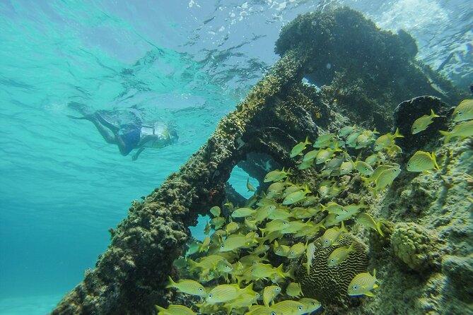 Cancun Snorkeling Adventure: Underwater Museum, Reef & Shipwreck - MUSA: statues beneath the Caribbean
