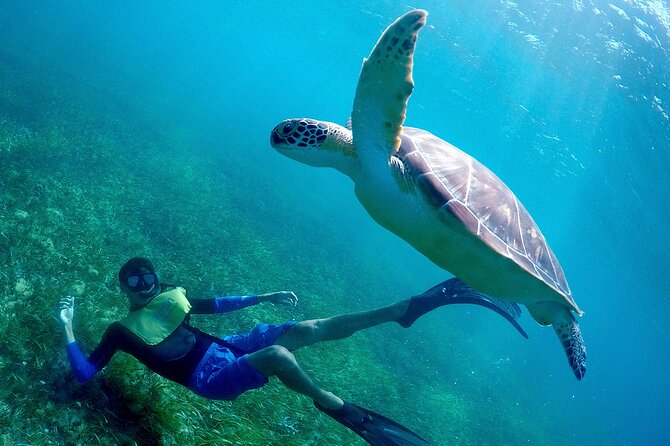 Cancun Snorkeling Adventure: Underwater Museum, Reef & Shipwreck - The shipwreck and the natural pool effect