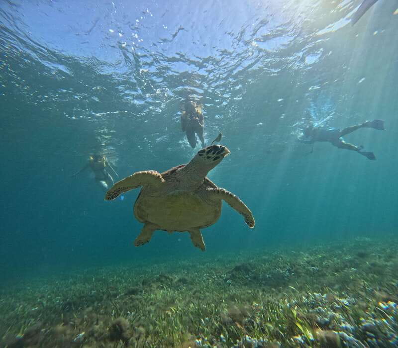 Cancun: Snorkeling Boat Tour with Gear - Five underwater stops packed into three hours
