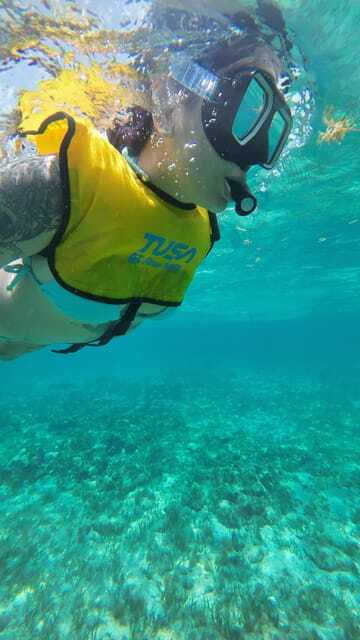 Cancun: Snorkeling Boat Tour with Gear - A shipwreck on white sand