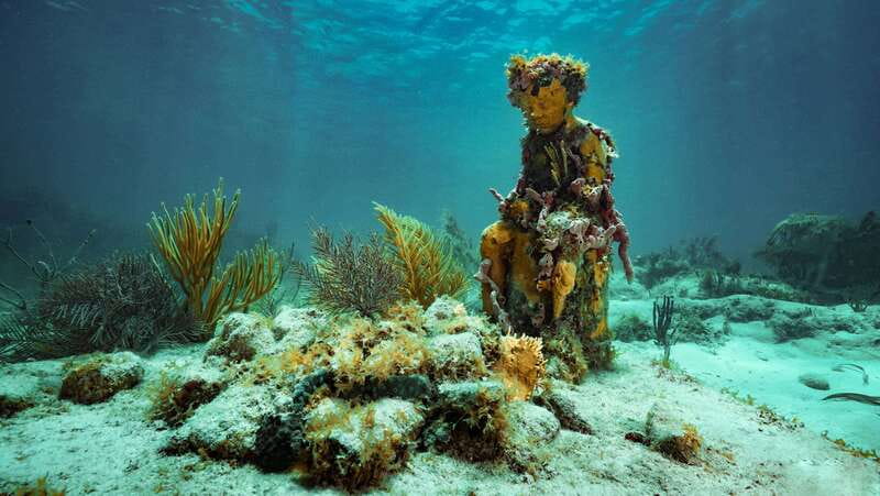 Cancun: Snorkeling Tour at MUSA The Underwater Museum - Why MUSA is more than an underwater photo stop