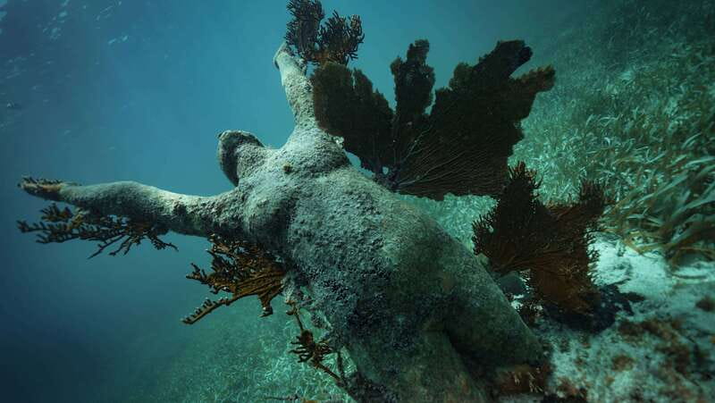 Cancun: Snorkeling Tour at MUSA The Underwater Museum - Manchones Reef brings the natural sea life