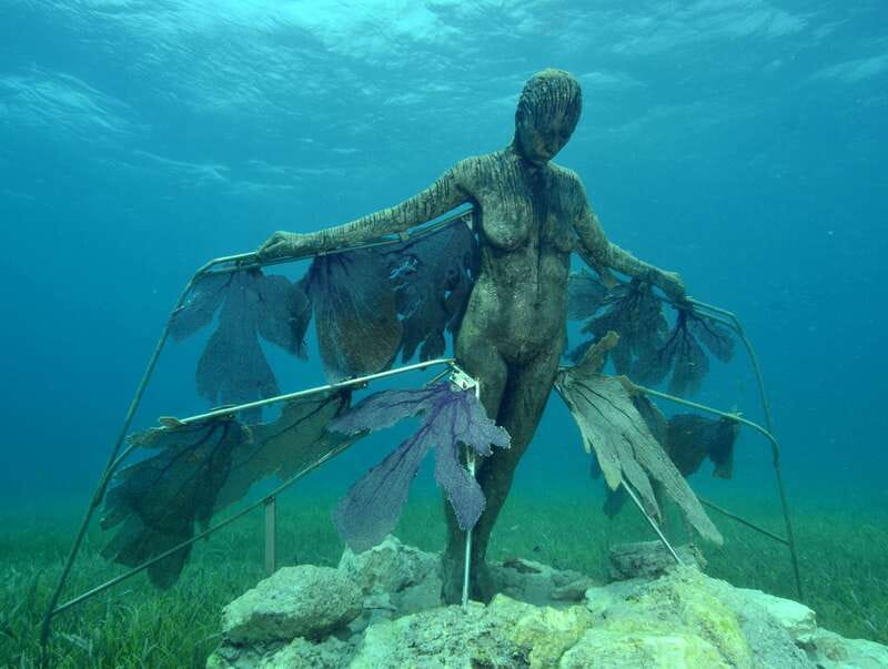 Cancun: Snorkeling Tour at MUSA The Underwater Museum - Guides, safety, and first-time snorkeling