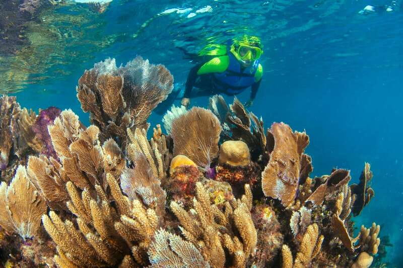 Cancun: Snorkeling Tour at MUSA The Underwater Museum - Weather can shape the whole outing