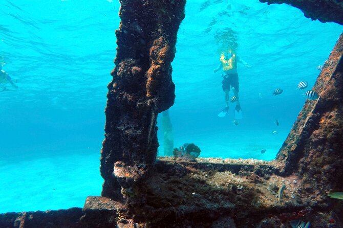 Cancun Snorkeling Tour: Swim with Turtles, Reef, Underwater Museum and Shipwreck - Equipment, safety, and swimming ability