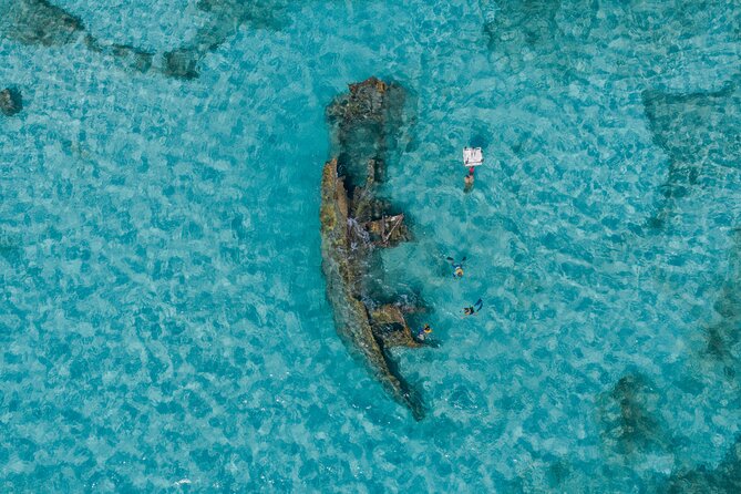 Cancun Snorkeling Tour: Swim with Turtles, Reef, Underwater Museum and Shipwreck - El Meco reef and the search for turtles