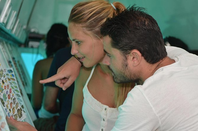 Cancun Submarine and Optional Snorkeling Tour - Price, dock fees, and what you receive