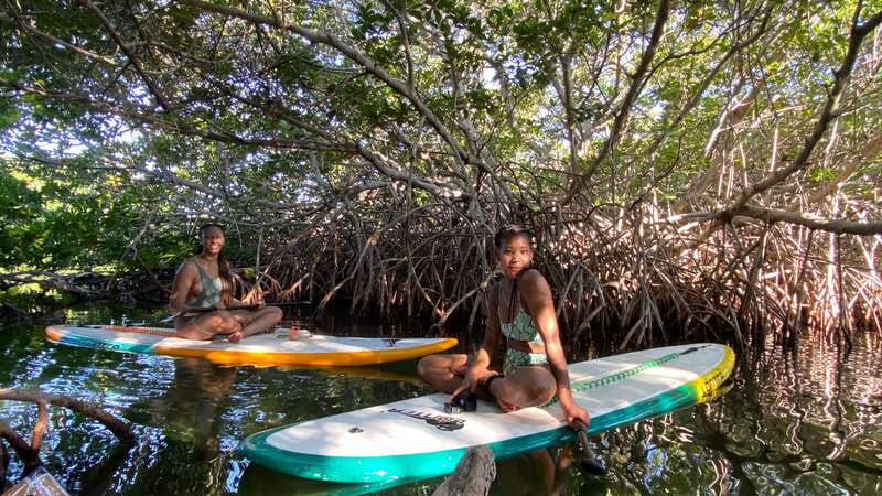 Cancun: Sunrise/Sunset Stand-Up Paddleboarding Tour - Starting at Marina Kaybal, not your hotel