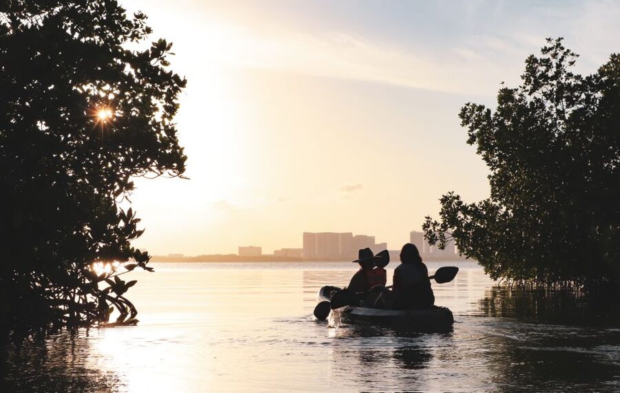 Cancun: Sunset Kayak Experience in the Mangroves - Is $47 good value?