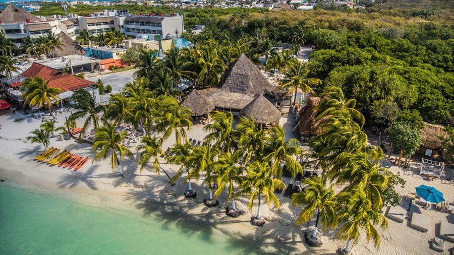 Cancún: Swim with Whale Sharks & Playa Norte Beach - Key points at a glance