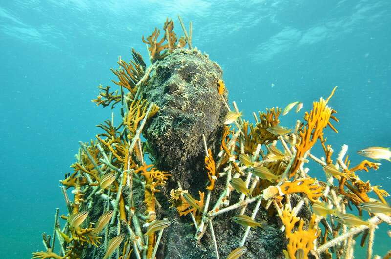 Cancún: Underwater Museum & Reef for Certified Scuba Divers - Why MUSA feels different from a normal reef outing