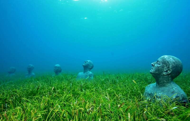 Cancún: Underwater Museum & Reef for Certified Scuba Divers - Second descent: a natural reef with turtles and fish