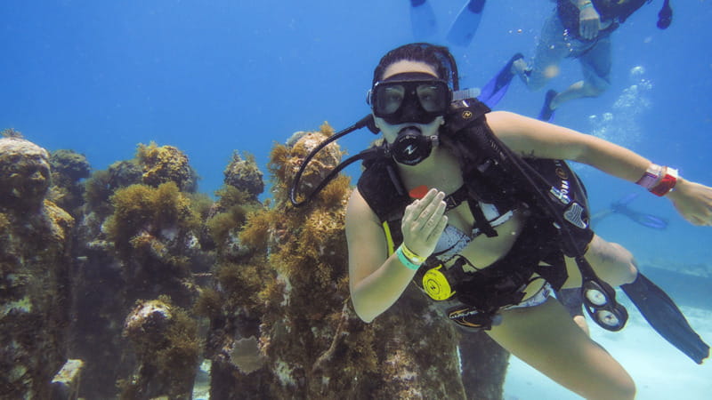 Cancún: Underwater Museum & Reef for Certified Scuba Divers - A realistic look at timing and communication