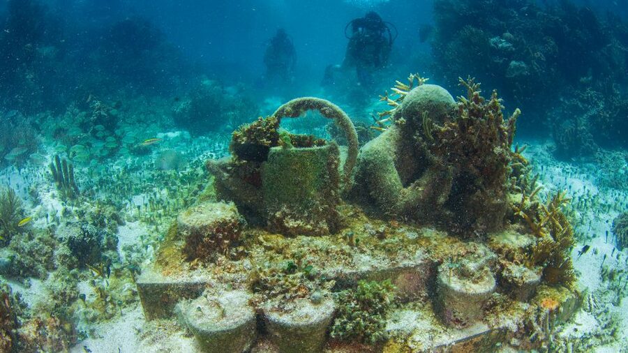 Cancún: Underwater Museum & Reef for Certified Scuba Divers - How to prepare for the water