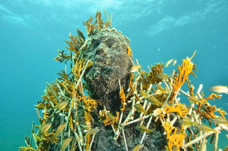 Cancún: Underwater Museum & Reef for Certified Scuba Divers - First descent: MUSA’s sculptures at 30 feet