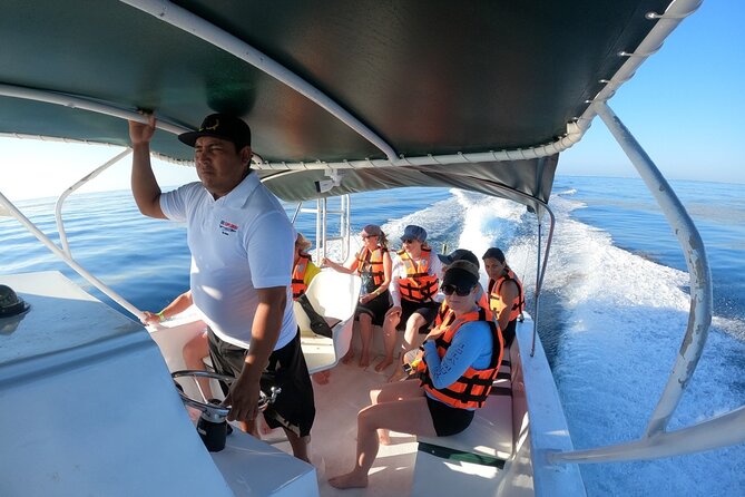 Cancun Whale Shark Experience with Snorkel & Transportation - Is $210 a fair price?