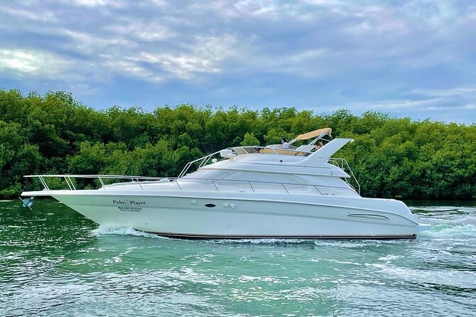 Cancun Yacht Tour - SEARAY YACHT 46 FT GREAT FOR SUNSET 15 PEOPLE MAX 25P9 - What the Sea Ray is like